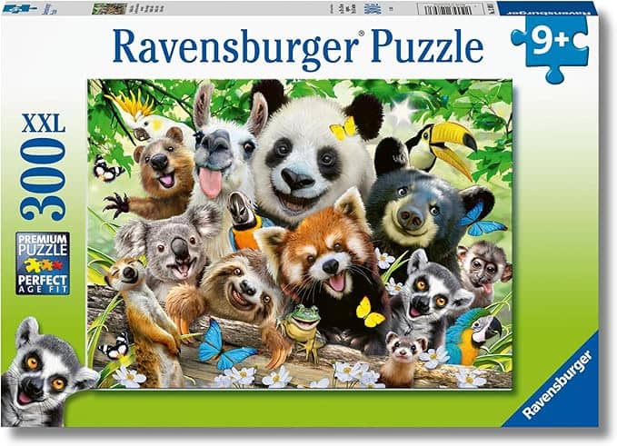Ravensburger 300